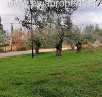 Grundstück Land Kaufen, 843 m², Limni (Euböa), 120.000 &euro;