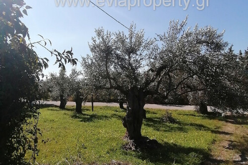 Foto - Grundstück zum Kaufen in 