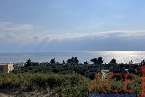 Foto - Grundstück Land Kaufen, , Kassandra (Chalkidiki),