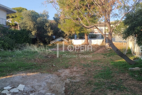 Foto - Grundstück Land Kaufen, , Kalyvia Thorikou (Attika - Restliche Gemeinden),