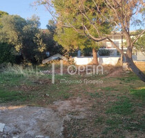 Grundstück Land Kaufen, , Kalyvia Thorikou (Attika - Restliche Gemeinden),