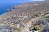 Foto - Grundstück Land Kaufen, , Syros (Kykladen),