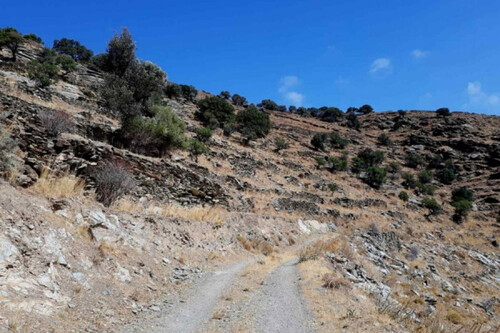 Foto - Grundstück zum Kaufen in 