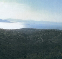 Grundstück Land Kaufen, , Aegina (Saronische Inseln),