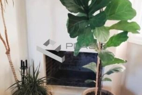 Foto - Einfamilienhaus in zum Kaufen