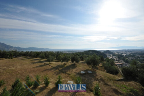 Foto - 8 Zimmer Einfamilienhaus zum Kaufen in 