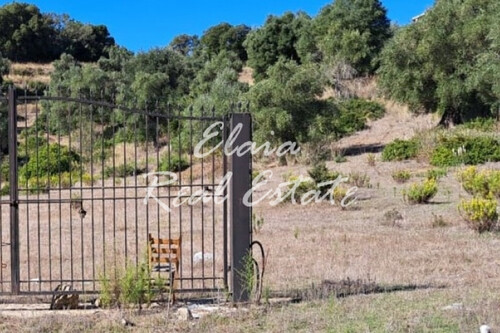 Foto - Grundstück Land Kaufen, , Korfu-Stadt (Korfu Präfektur),