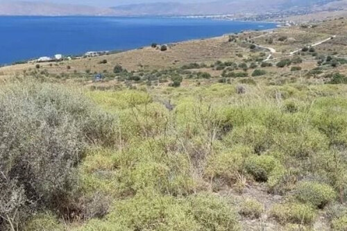 Foto - Grundstück in 