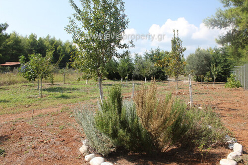 Foto - Grundstück zum Kaufen in 