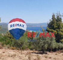 Grundstück Land Kaufen, , Sithonia (Chalkidiki),