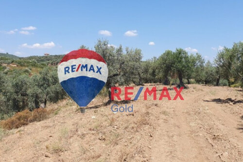 Foto - Grundstück in 