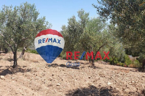 Foto - Grundstück in zum Kaufen