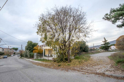Foto - Einfamilienhaus in zum Kaufen