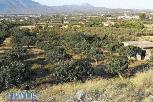 Foto - Grundstück Land Kaufen, , Korinth (Korinthia),