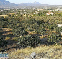 Grundstück Land Kaufen, , Korinth (Korinthia),