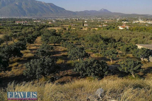 Foto - Grundstück in 