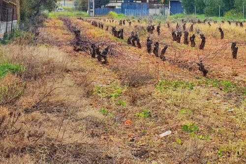 Foto - Grundstück in 