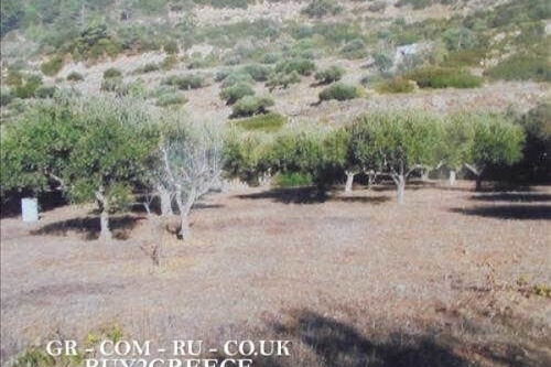Foto - Grundstück Land Kaufen, , Karpathos (Dodekanes),