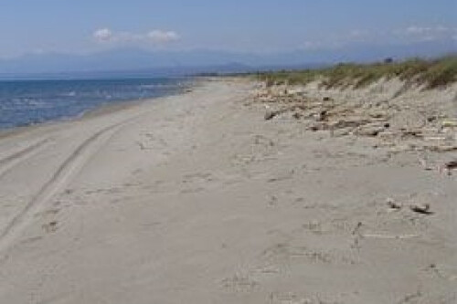 Foto - Grundstück zum Kaufen in 