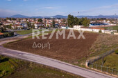 Foto - Grundstück Land Kaufen, , Almyros (Magnisia),
