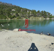 Grundstück Land Kaufen, , Afidnes (Attika - Restliche Gemeinden),