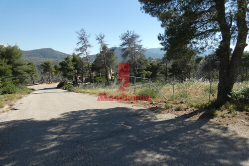 Foto - Grundstück in zum Kaufen