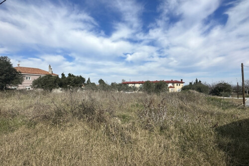Foto - Grundstück Land Kaufen, , Kassandra (Chalkidiki),