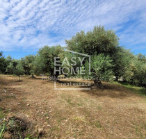 Grundstück Land Kaufen, , Thouria (Messinia),