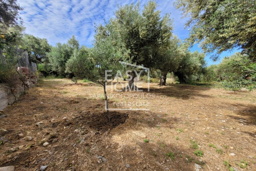 Foto - Grundstück in 