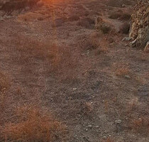 Grundstück Land Kaufen, , Folegandros (Kykladen),