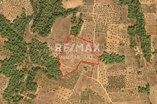 Foto - Grundstück in 