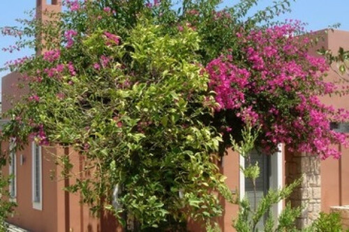 Foto - 5 Zimmer Einfamilienhaus in 