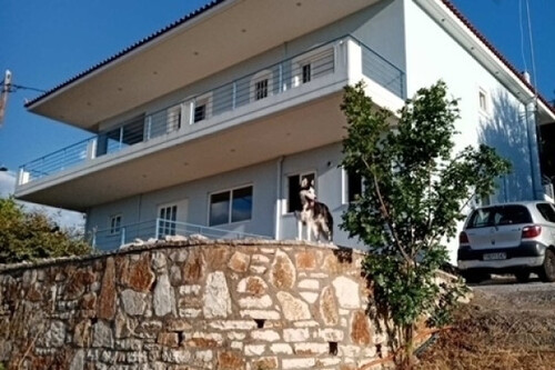 Foto - 