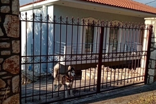 Foto - 