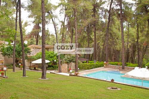 Foto - 6 Zimmer Gewerbeobjekt (Büro, Produktion, Verkauf) zum Kaufen in 