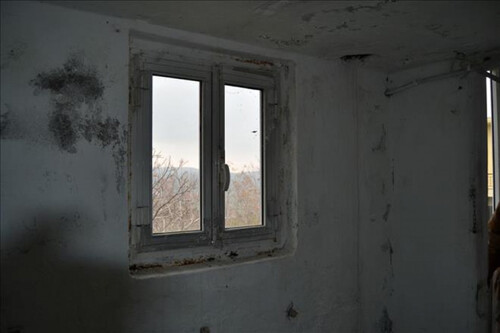 Foto - 6 Zimmer Einfamilienhaus in 