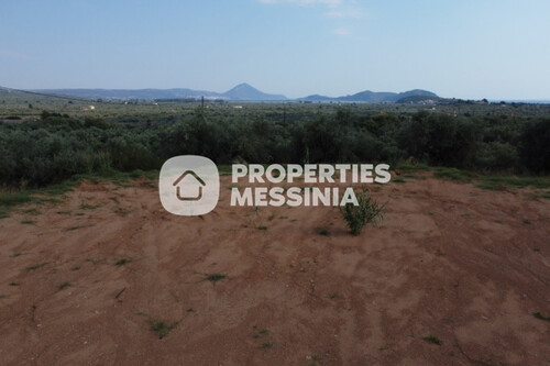 Foto - Grundstück Land Kaufen, , Gargalianoi (Messinia),