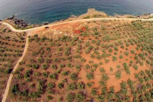 Foto - Grundstück in zum Kaufen