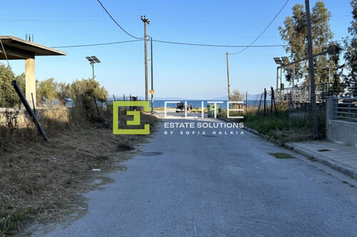 Foto - Grundstück Land Kaufen, , Volos (Magnisia),
