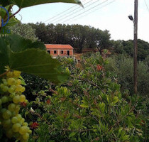 Haus Kaufen, , Korfu-Stadt (Korfu Präfektur),