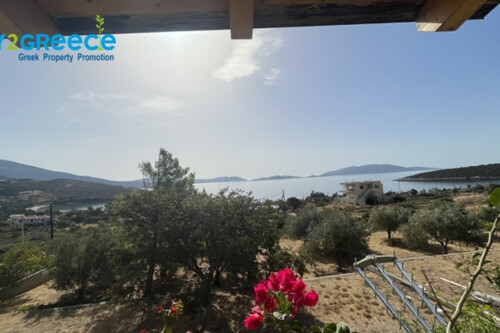 Foto - 3 Zimmer Einfamilienhaus in 