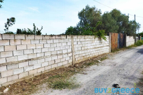 Foto - Grundstück Land Kaufen, , Thermaikos (Thessaloniki - Stadtorte um das Stadtzentrum),