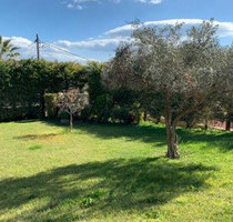 Haus Kaufen, , Sykamino (Attika - Restliche Gemeinden),