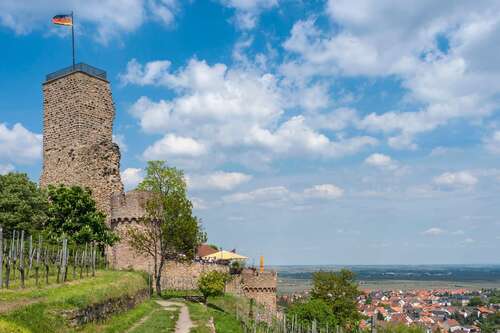 Depositphotos_651255436_XL - 