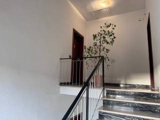 Foto - 3 Zimmer Etagenwohnung in Rosignano Marittimo