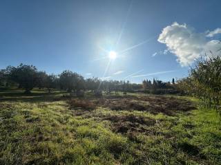 Foto - Grundstück zum Kaufen in Rosignano Marittimo