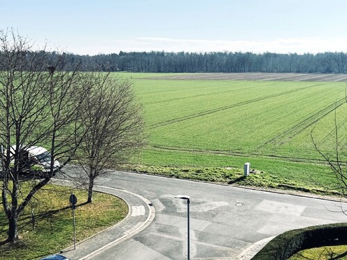 Feld- und Waldblick - 