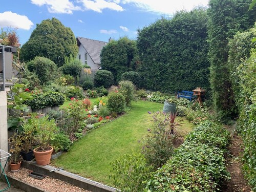 üppiger Garten - 