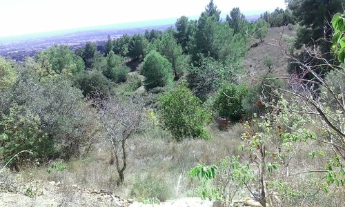 Foto - Grundstück zum Kaufen in Castellvell del Camp