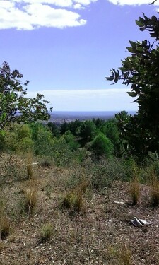 Foto - Grundstück in Castellvell del Camp